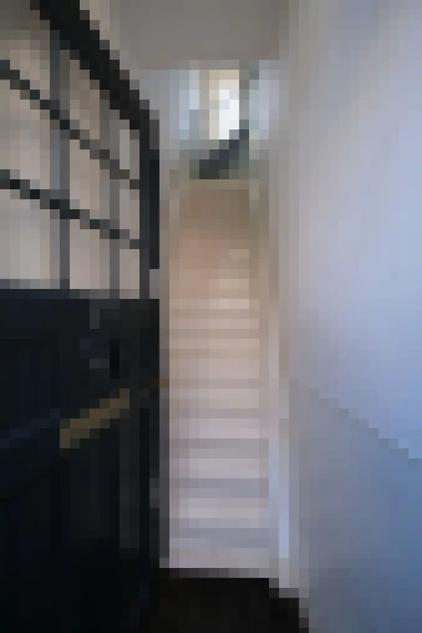 Reinaert de Vosstraat 3 1 Amsterdam thumbnail 4