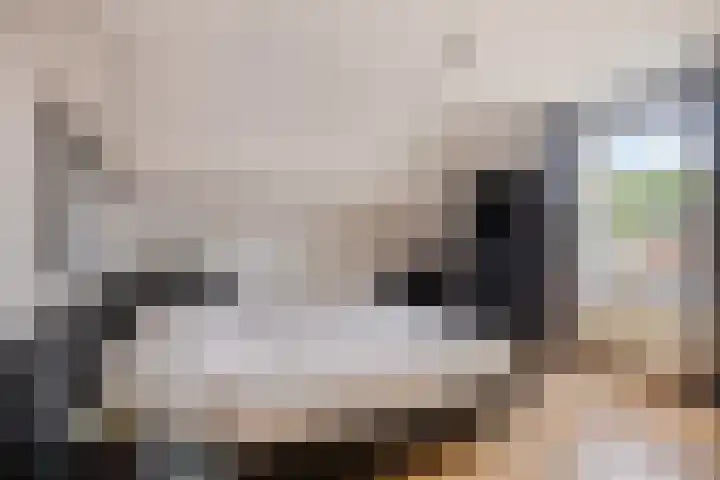 Reinaertstraat 3 Geleen thumbnail 14