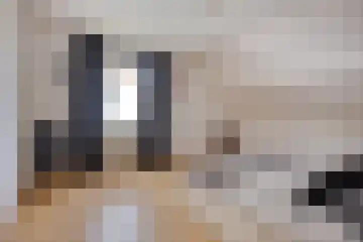 Reinaertstraat 3 Geleen thumbnail 18