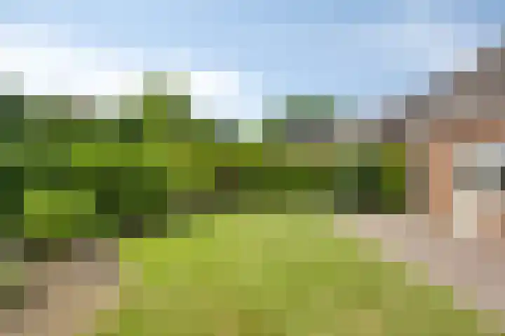Reinaertstraat 3 Geleen thumbnail 26