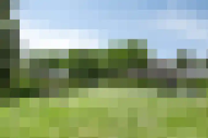 Reinaertstraat 3 Geleen thumbnail 32
