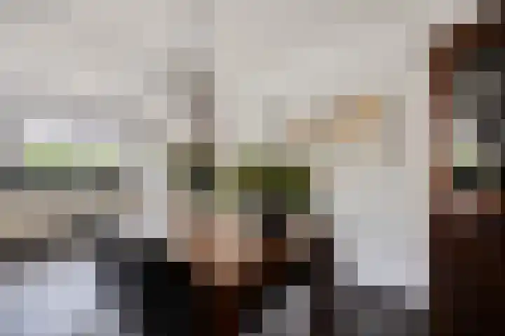 Reinaertstraat 3 Geleen thumbnail 7