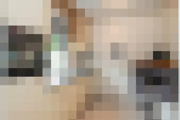 Reinald van Gelrestraat 18 Nieuwstadt thumbnail 16