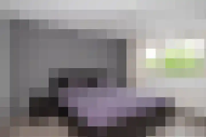 Reinald van Gelrestraat 18 Nieuwstadt thumbnail 20