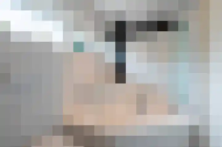 Reinald van Gelrestraat 18 Nieuwstadt thumbnail 24