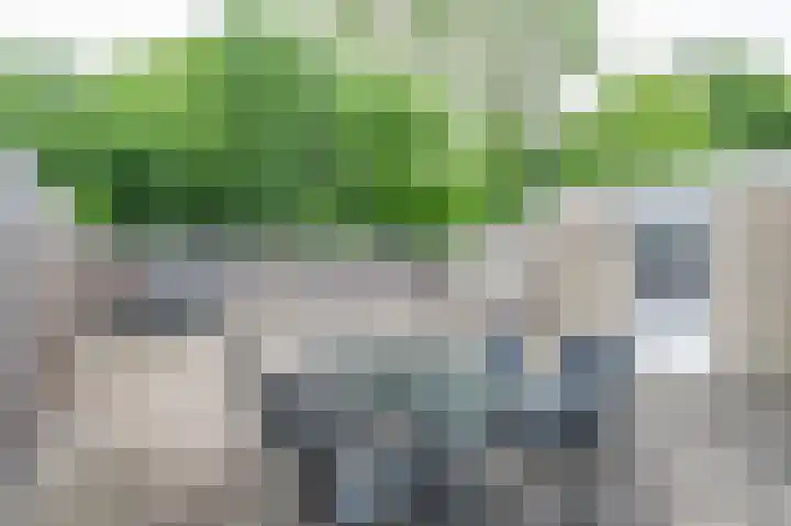 Reinald van Gelrestraat 18 Nieuwstadt thumbnail 27