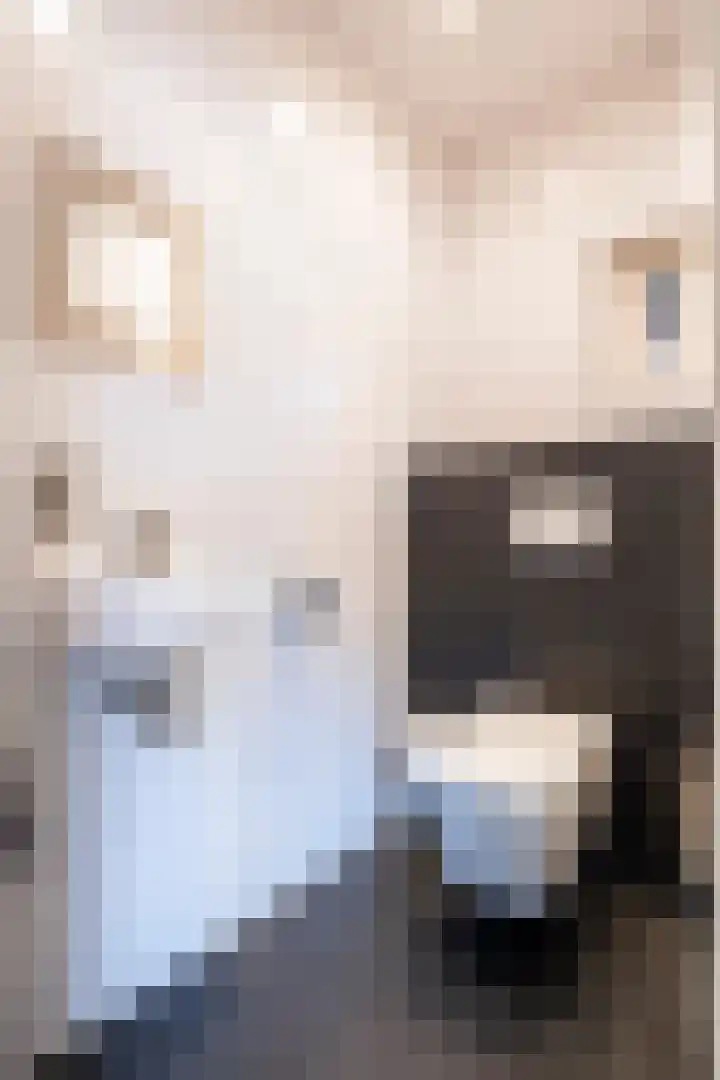 Reinald van Gelrestraat 18 Nieuwstadt thumbnail 5