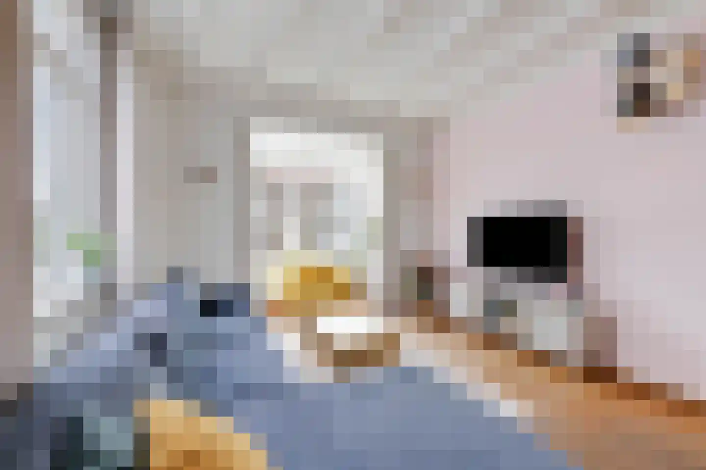 Reinaldstraat 16 Velp thumbnail 12