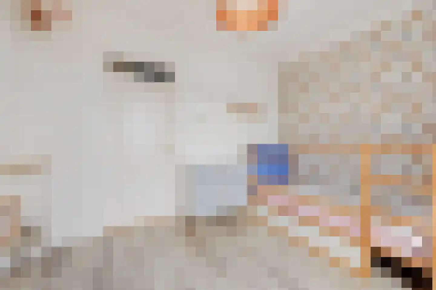 Reinaldstraat 16 Velp thumbnail 22