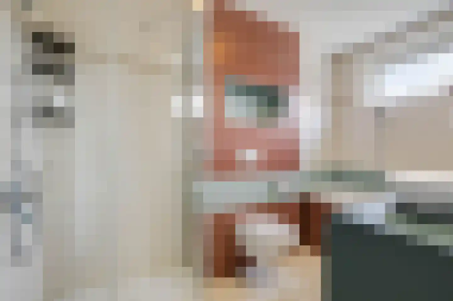 Reinaldstraat 16 Velp thumbnail 24