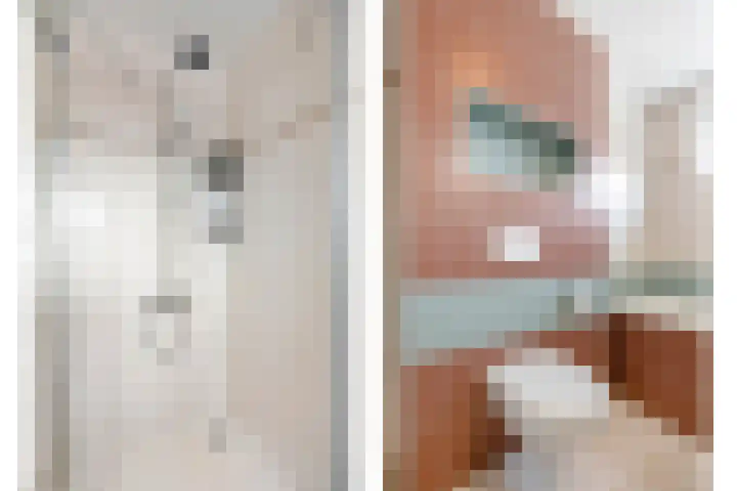 Reinaldstraat 16 Velp thumbnail 26
