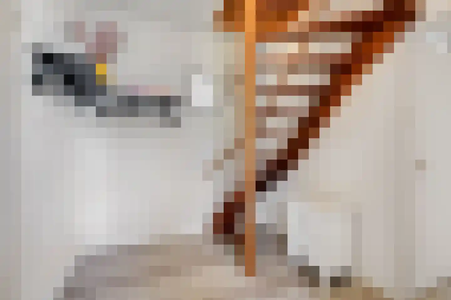 Reinaldstraat 16 Velp thumbnail 28