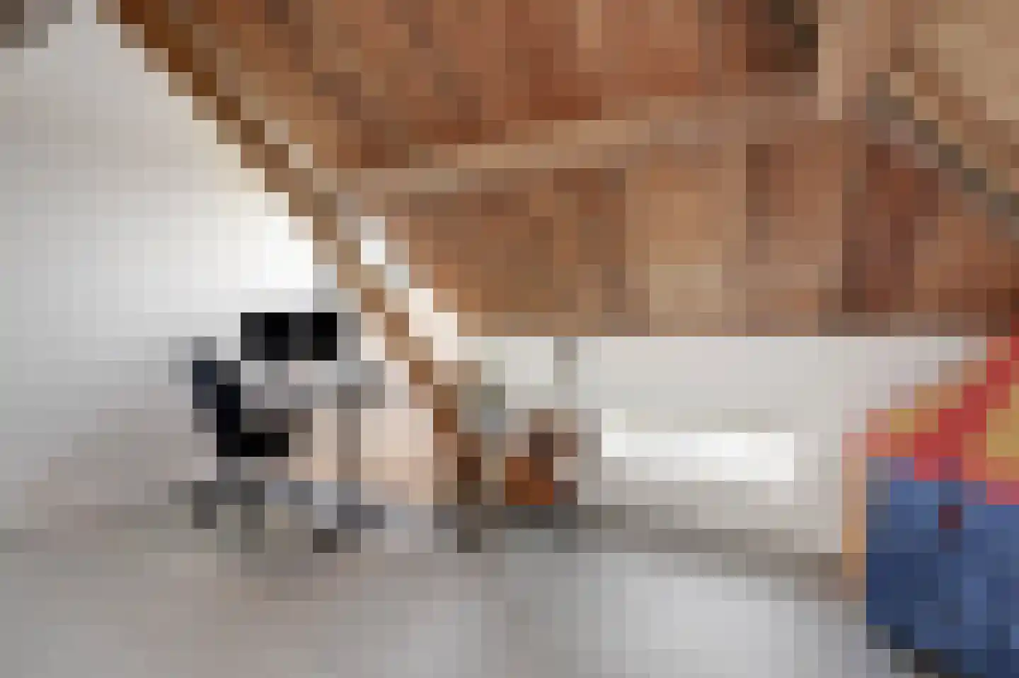 Reinaldstraat 16 Velp thumbnail 32