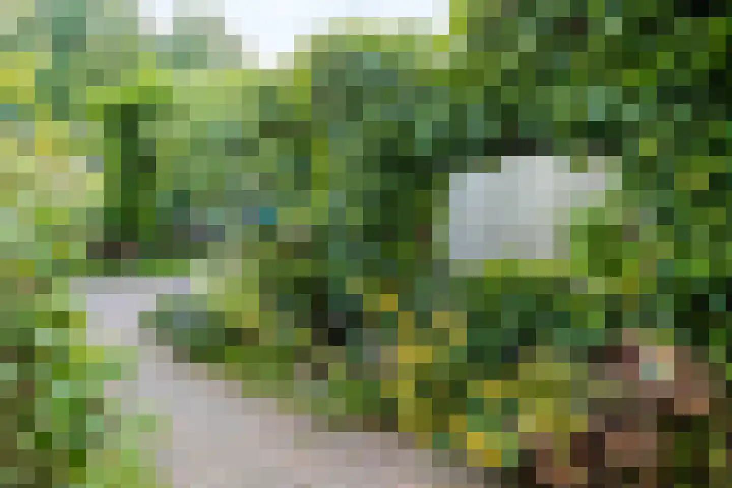 Reinaldstraat 16 Velp thumbnail 35