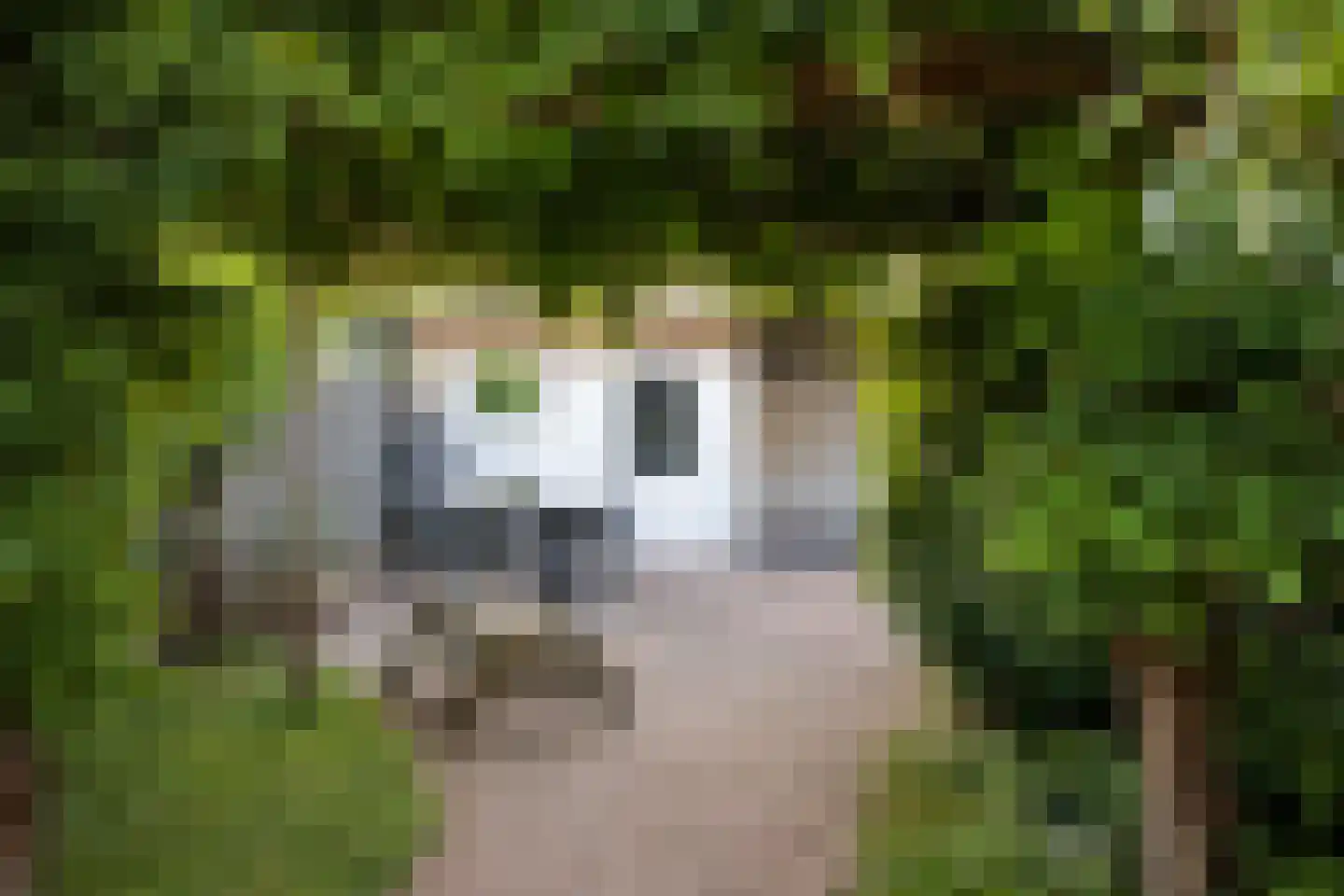 Reinaldstraat 16 Velp thumbnail 37