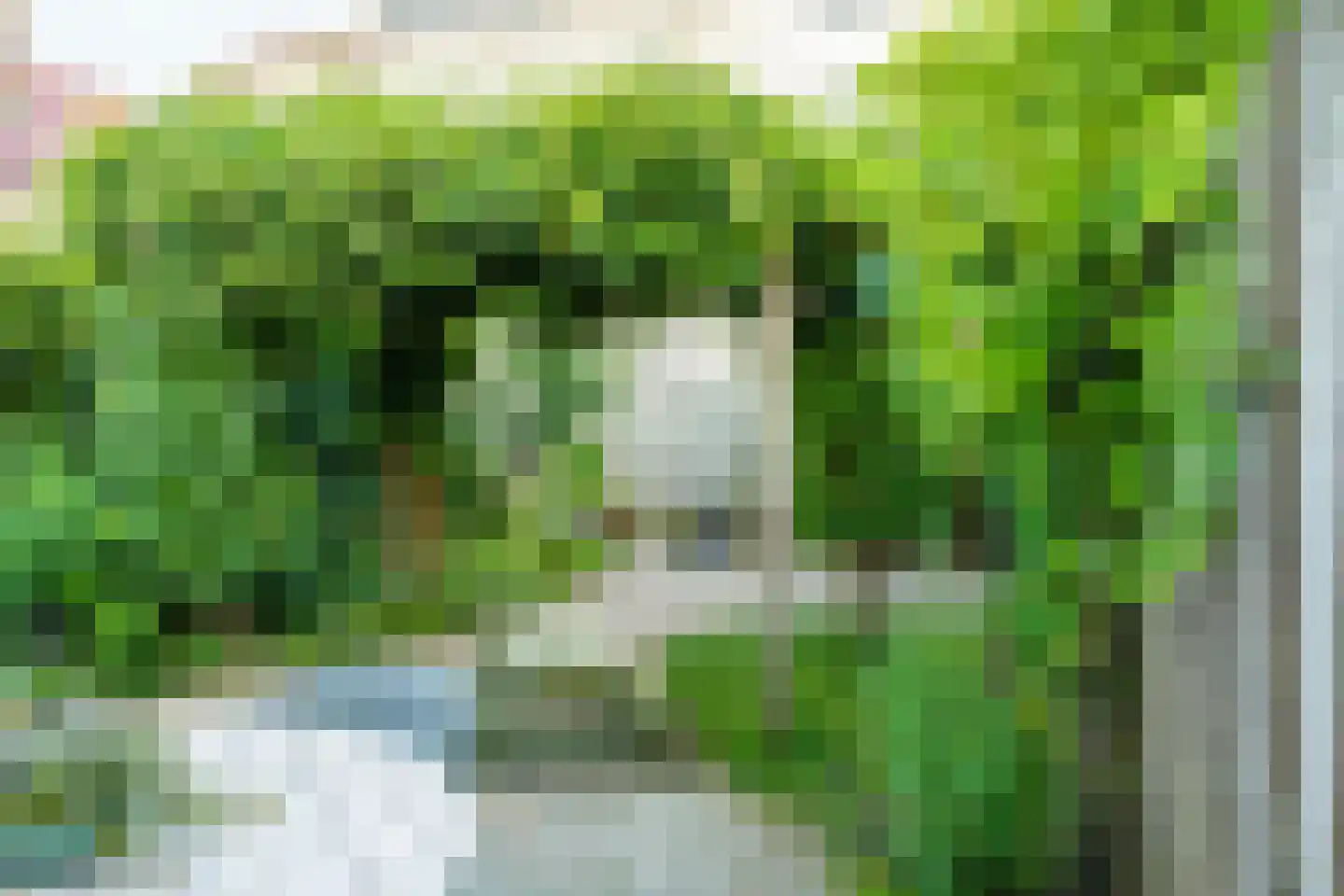 Reinaldstraat 16 Velp thumbnail 38