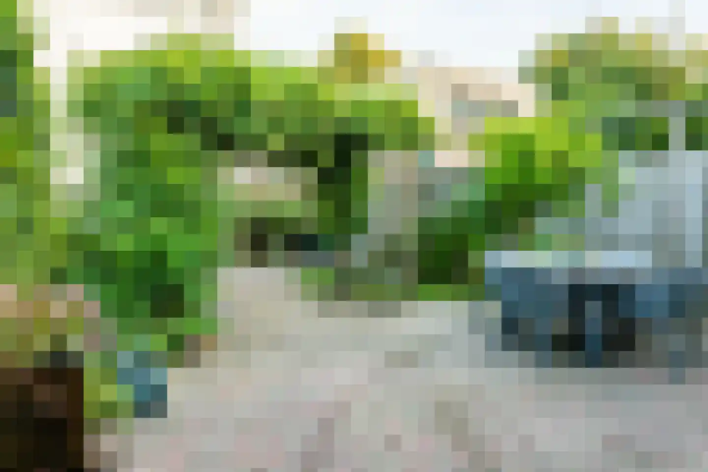 Reinaldstraat 16 Velp thumbnail 39