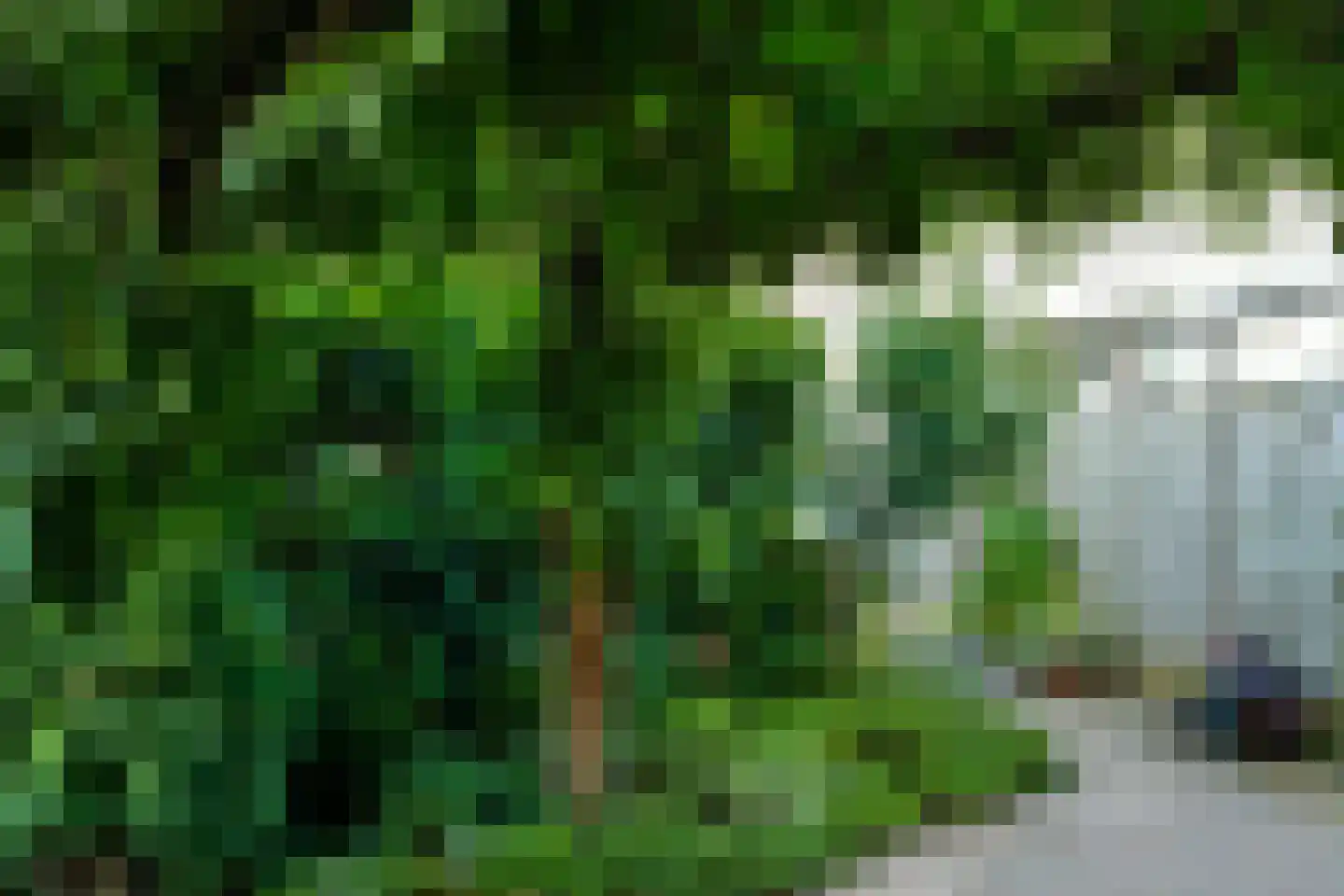 Reinaldstraat 16 Velp thumbnail 40