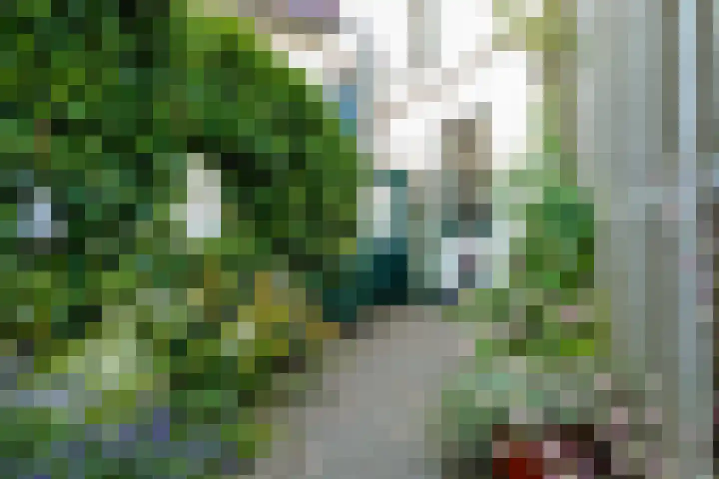 Reinaldstraat 16 Velp thumbnail 42