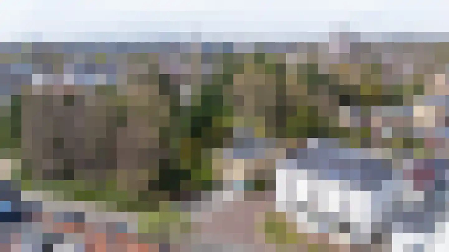 Reinaldstraat 16 Velp thumbnail 44