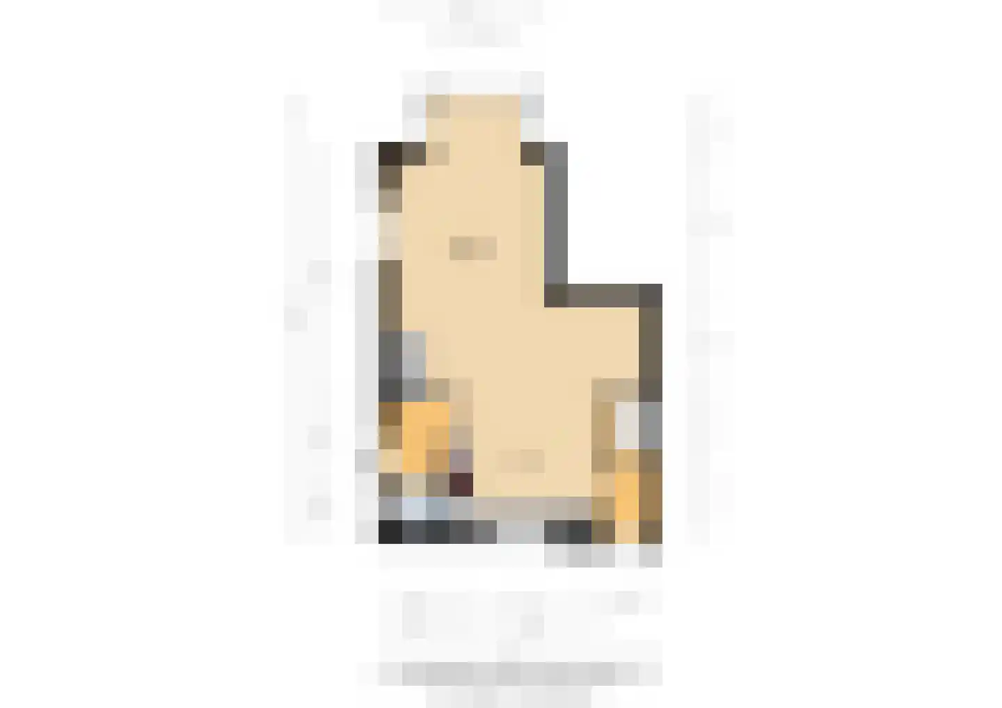 Reinaldstraat 16 Velp thumbnail 47