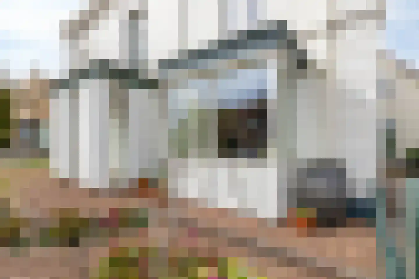 Reinaldstraat 16 Velp thumbnail 8