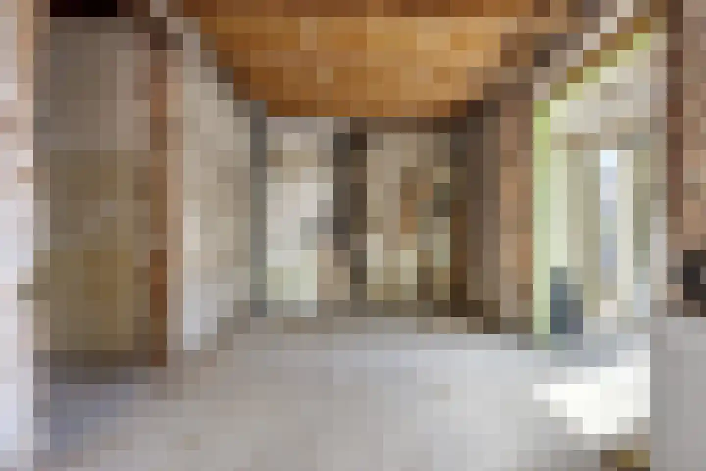 Reinaldstraat 18 Velp thumbnail 18