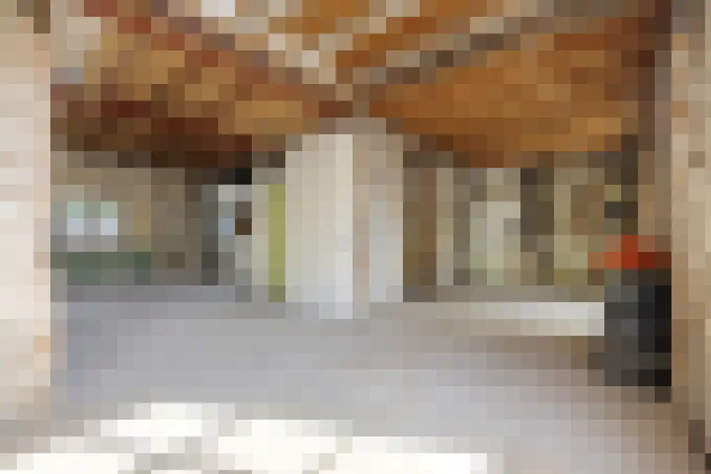 Reinaldstraat 18 Velp thumbnail 19