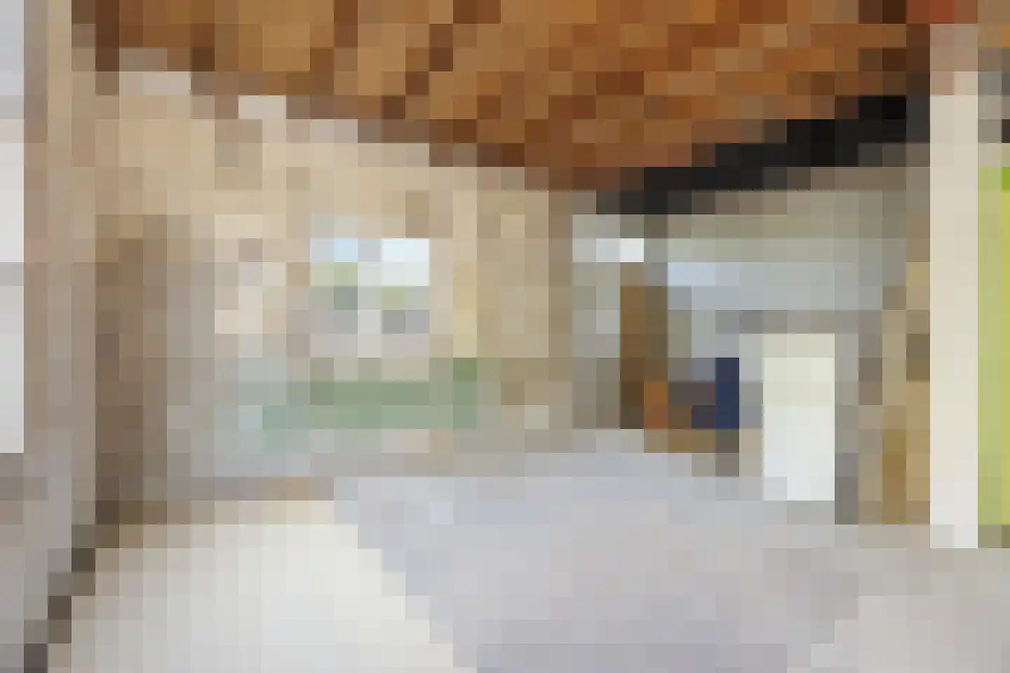 Reinaldstraat 18 Velp thumbnail 21