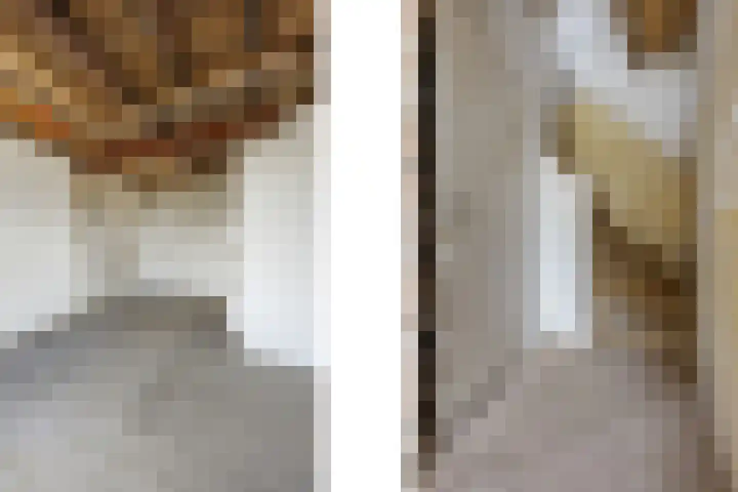 Reinaldstraat 18 Velp thumbnail 28