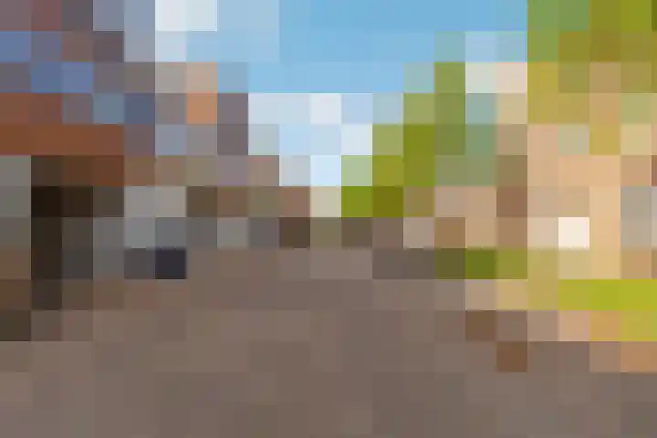 Reinaldstraat 18 Velp thumbnail 38