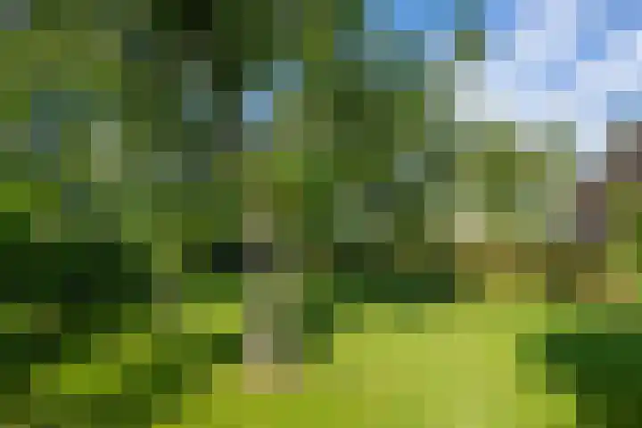 Reinaldstraat 18 Velp thumbnail 40