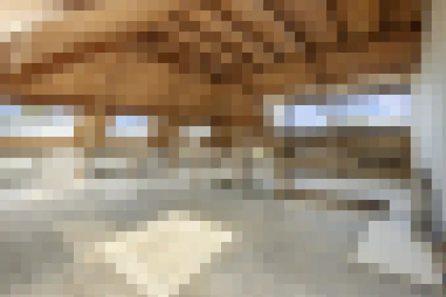 Reinaldstraat 18 Velp thumbnail 41