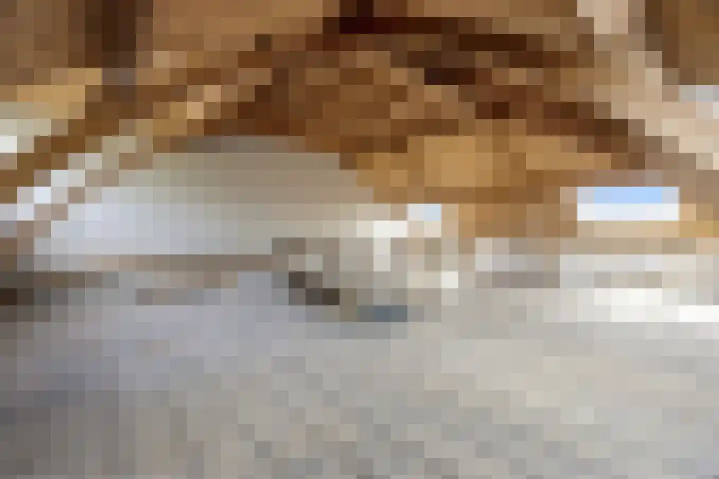 Reinaldstraat 18 Velp thumbnail 42