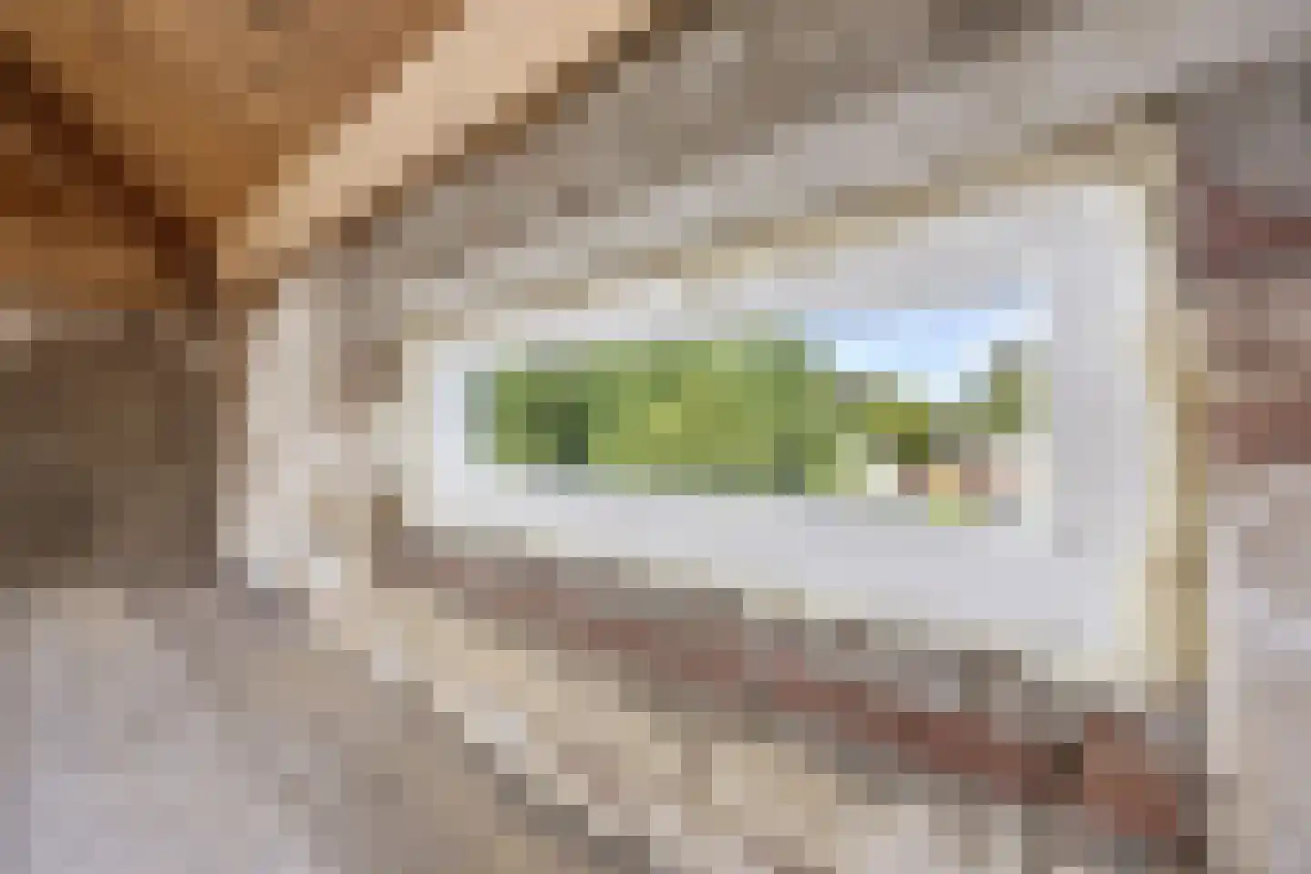 Reinaldstraat 18 Velp thumbnail 45