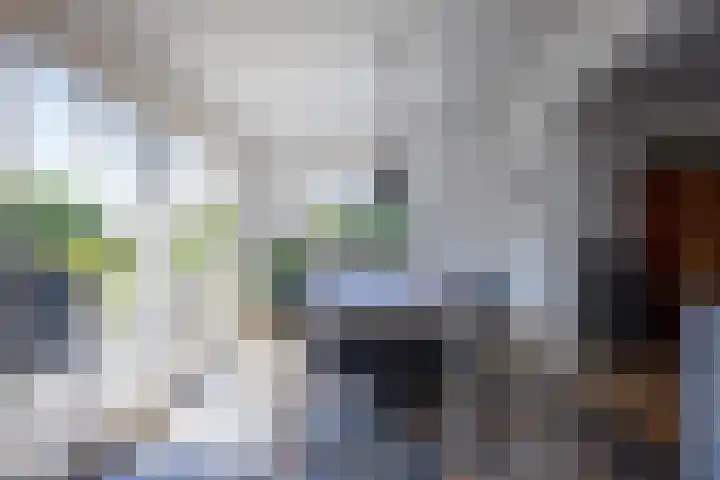 Reinaldstraat 18 Velp thumbnail 6