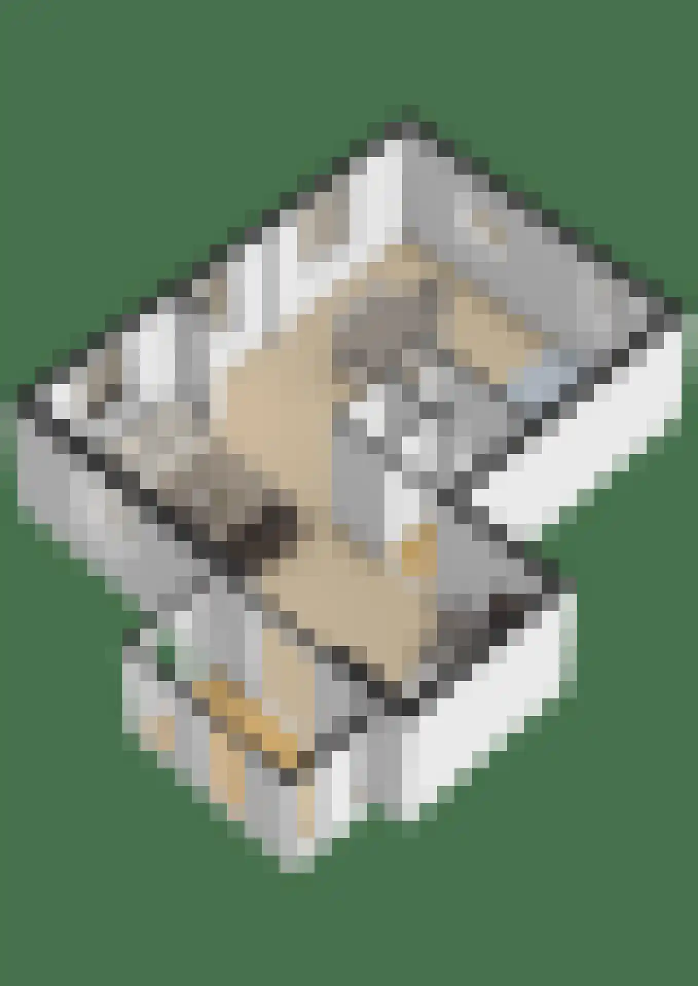 Reinaldstraat 18 Velp thumbnail 66