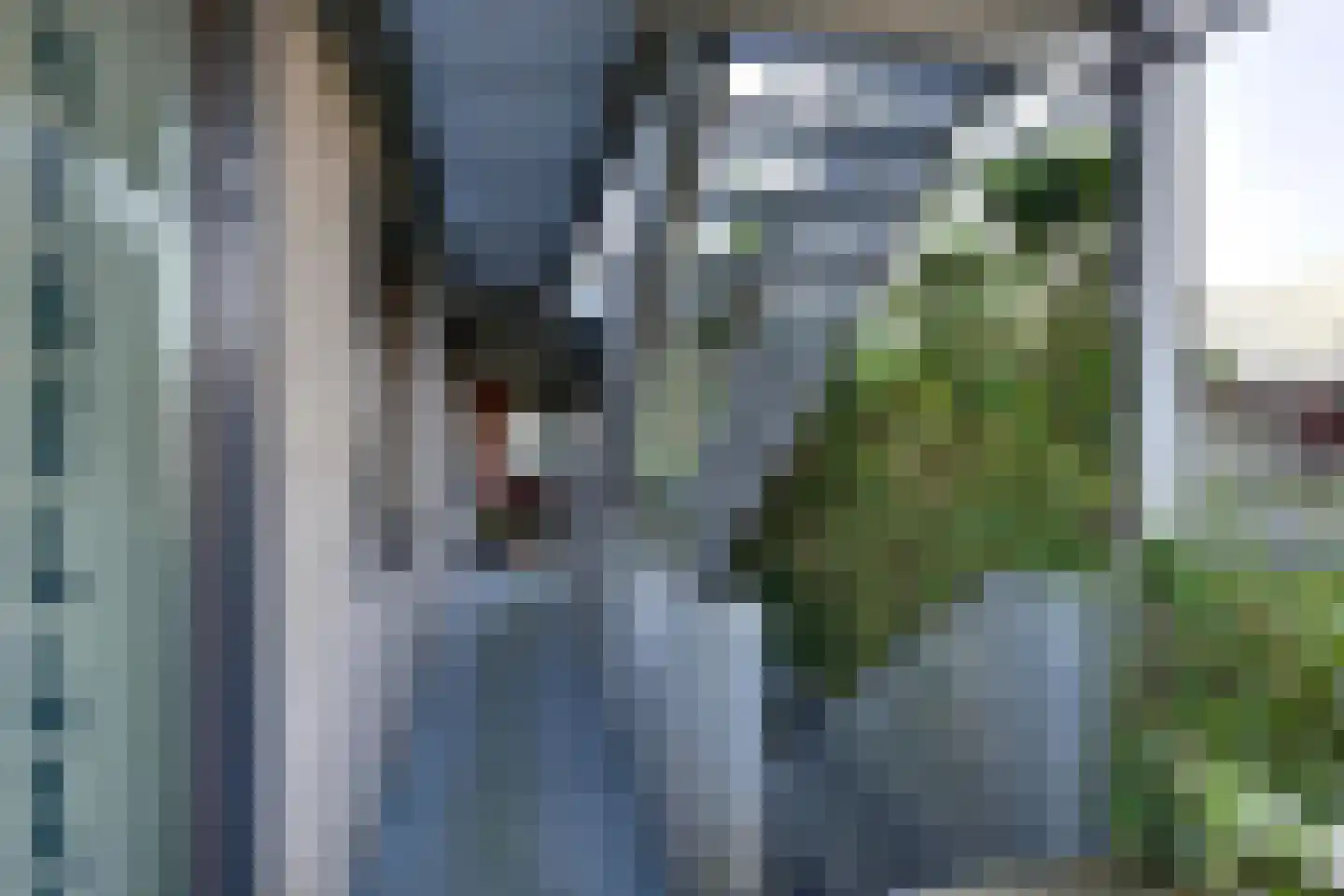 Reinaldstraat 23 Arnhem thumbnail 14