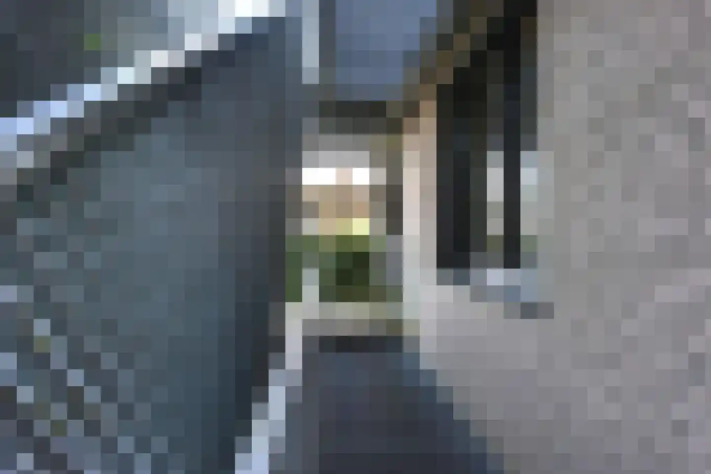 Reinaldstraat 23 Arnhem thumbnail 15