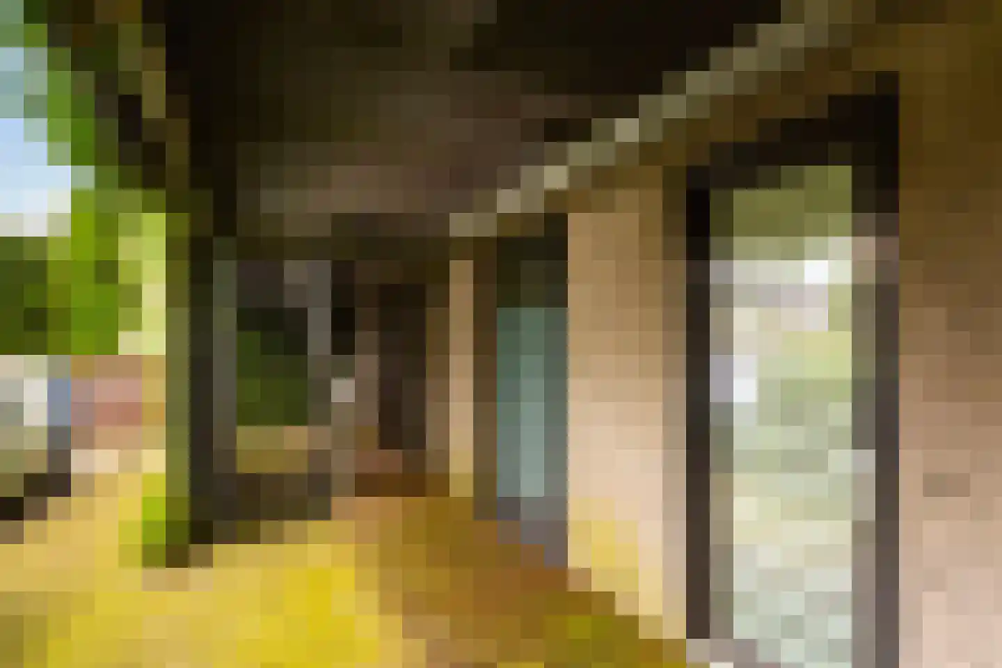 Reinaldstraat 9 Arnhem thumbnail 21