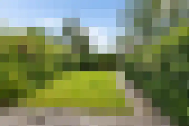Reinder Brolsmaplein 16 Stiens thumbnail 12