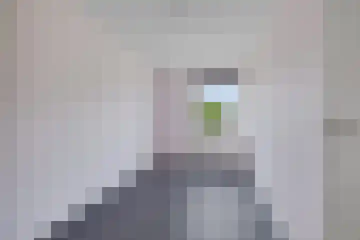 Reinder Brolsmaplein 16 Stiens thumbnail 16