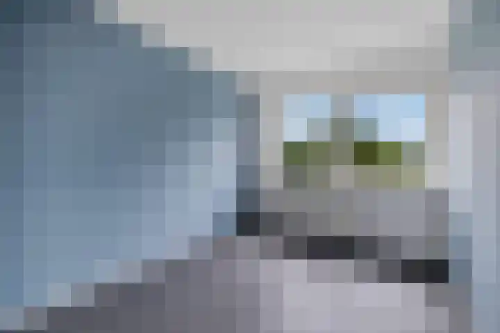 Reinder Brolsmaplein 16 Stiens thumbnail 17