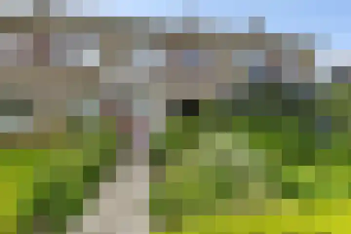 Reinder Brolsmaplein 16 Stiens thumbnail 24