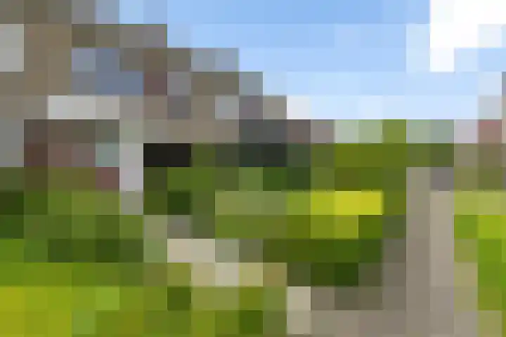 Reinder Brolsmaplein 16 Stiens thumbnail 25