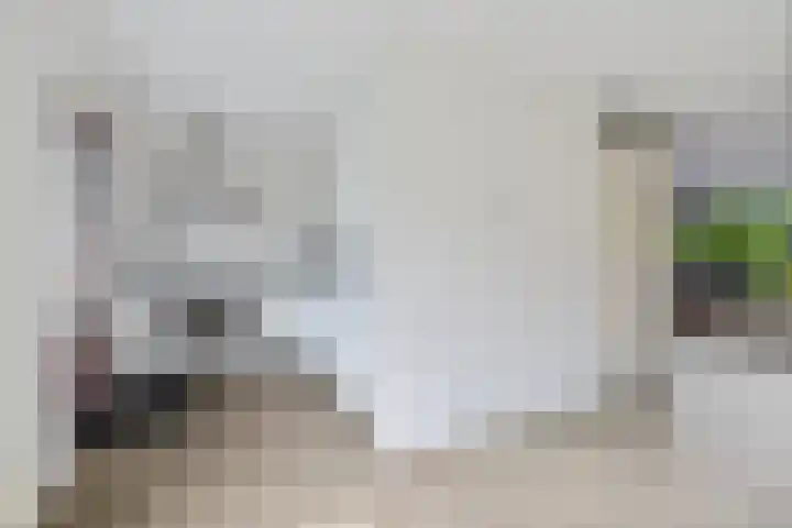 Reinder Brolsmaplein 16 Stiens thumbnail 4