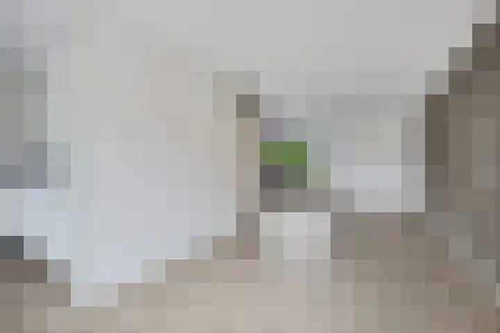 Reinder Brolsmaplein 16 Stiens thumbnail 9