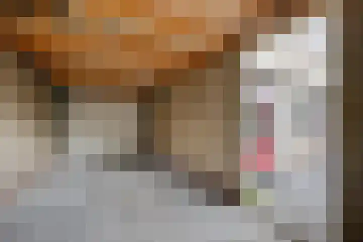 Reinder Brolsmaplein 20 Stiens thumbnail 12