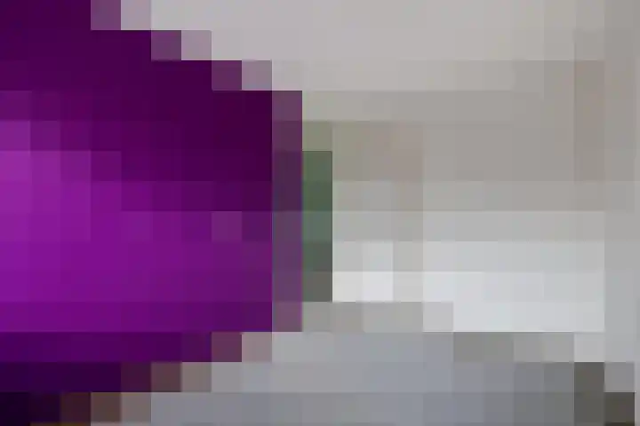 Reinder Brolsmaplein 20 Stiens thumbnail 21