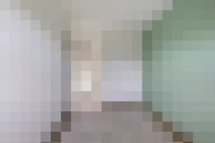 Reinder Brolsmaplein 20 Stiens thumbnail 23